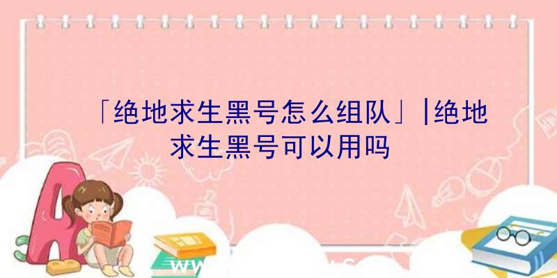 「绝地求生黑号怎么组队」|绝地求生黑号可以用吗